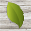 corehomebuilders.com
