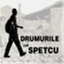 spetcu.wordpress.com