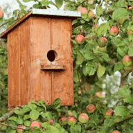 ferienwohnungen-rainer-holz.de