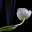 whenspaceissilence.wordpress.com