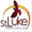 stlukeob.org
