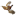 thepheasantsden.com