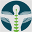 chirostmartin.com
