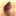 amorphophallus-forum.de