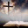 saviourstep.wordpress.com