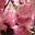 isyake.wordpress.com