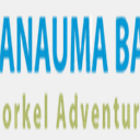 hanaumabaysnorkel.com