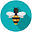debithomasdesigns.com