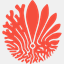 cschaohang.com