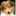 remarkabledogs.wordpress.com
