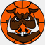 baloncestobenidorm.es