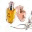 biankagast.wordpress.com