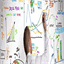 seoservices.splashthat.com