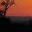 maplesecrets.wordpress.com