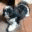 kpriya.info