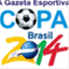 agecopa2014.wordpress.com