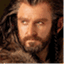 thorinoakenshield.net