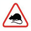 rat-catcher.co.uk