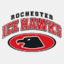 mnicehawks.com