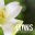 fbclyons.org