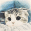 yalv.me