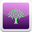 dawnmiceliwebdeveloper.com