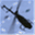 helicamp.eu