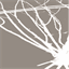 creynolds.org