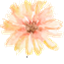 flymetotheclouds.com