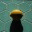 lonelylemon.com