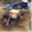 thecycleshed.com