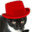 missingmissy.com