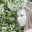 lisaholar.wordpress.com