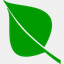 silverbirchsolutions.com