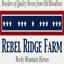 rebelridgerockies.com