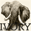 ivory.hu