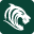 leicestertigers.com