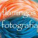 flamingos-fotografia.com