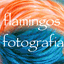 flamingos-fotografia.com