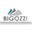 bigozzi.com