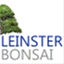 leinsterbonsai.wordpress.com