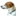 canemolly.it