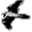 gypaetus.net