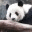 iphonehowto123.wordpress.com