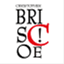 mrchrisbriscoe.wordpress.com