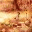 aangoz.wordpress.com