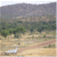 treesqueensland.wordpress.com