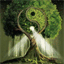 treecircus.com