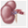 sugarbp.org