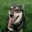 ritaschreibt.wordpress.com